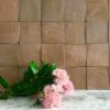 Zellige Blush tiles