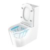 Ticino Back to Wall Toilet