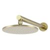 Meir Round Wall Shower 250mm rose, 400mm arm - Tiger Bronze