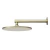 Meir Round Wall Shower 250mm rose, 400mm arm - Tiger Bronze