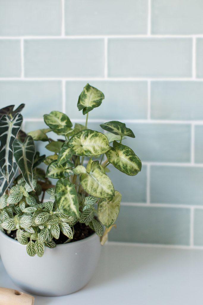 Light blue gloss subway tile