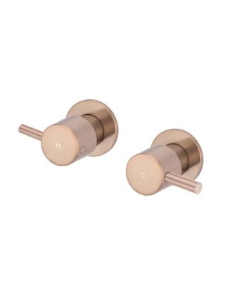 Meir Round Quarter Turn Wall Top Assemblies - Champagne