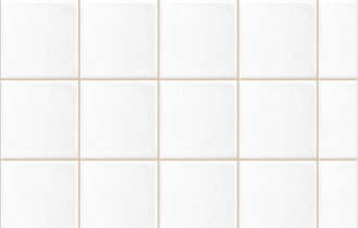 Ardex Grout Buff