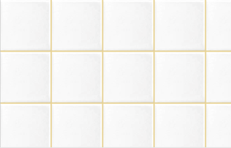 Ardex Grout French Vanilla