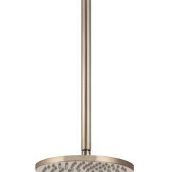 Meir Round Ceiling Shower 200mm Rose, 450mm arm - Champagne